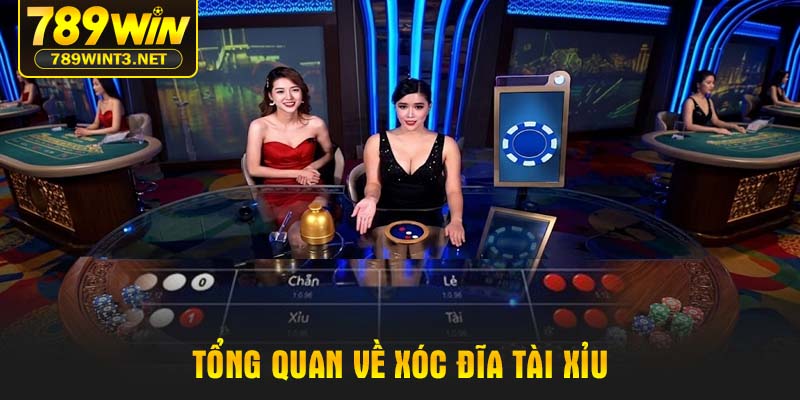 Tổng quan về Xóc đĩa tài xỉu